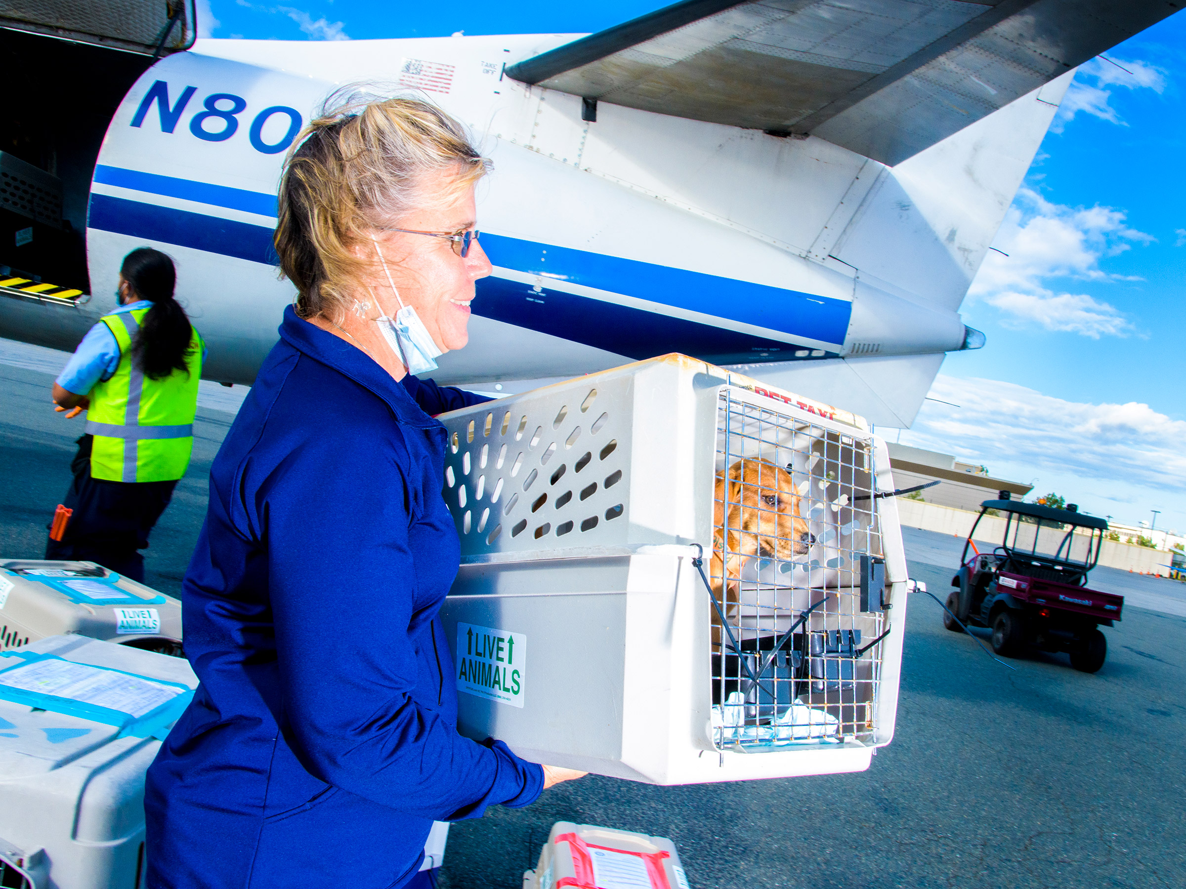 Sheryl Blancato of Second Chance Animal Services carries <a href="https://time.com/6144366/dog-adoption-relocation-aspca/">2-month-old Presley</a>, who just flew from Mississippi to Massachusetts, on Sept. 10, 2021. Presley was one of the millions of dogs whose lives were saved by being relocated last year. (Evan Angelastro for TIME)