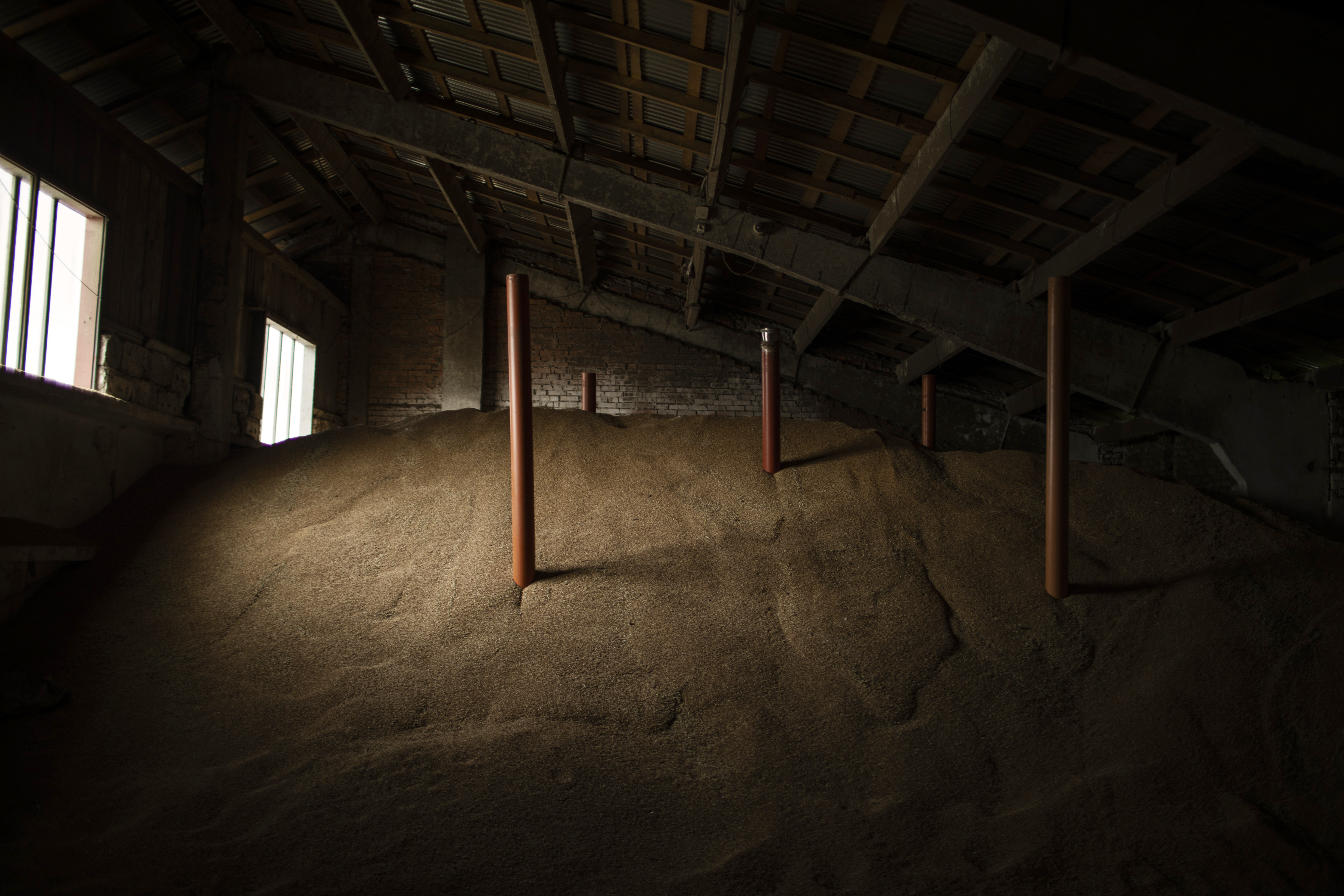 Wheat storage on a farm outside Lviv, Ukraine, on May 17, 2022. (Diego Ibarra Sanchez—The New York Times/Redux)