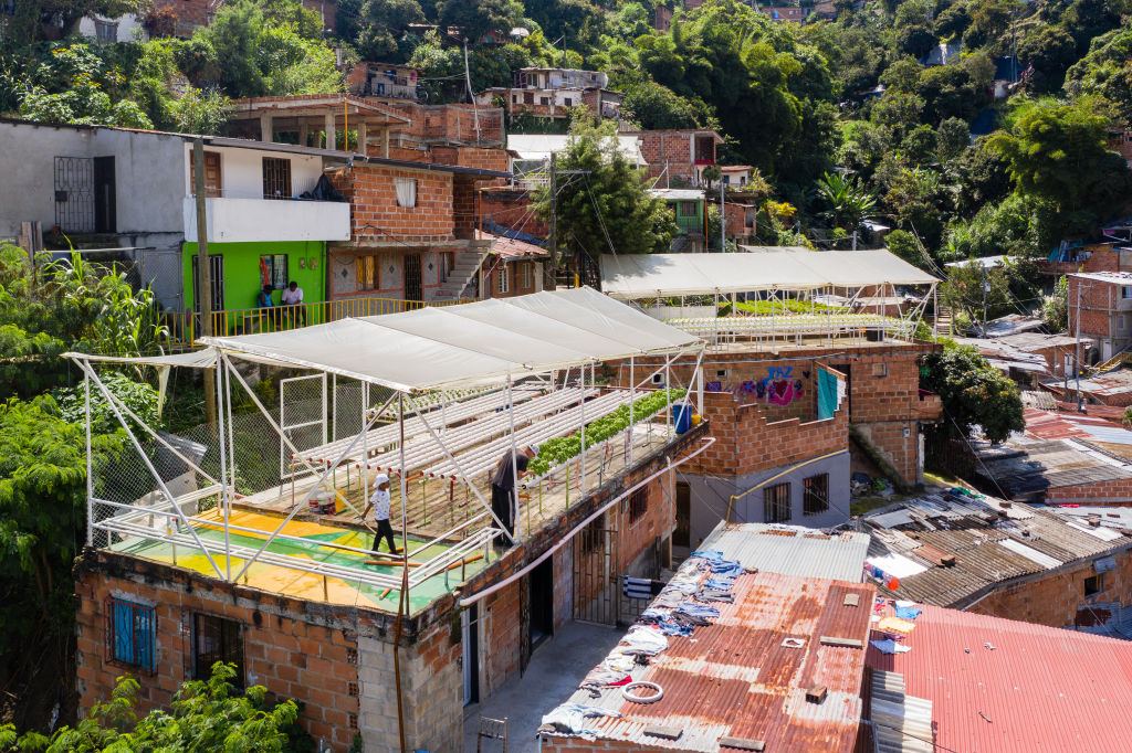 Green terraces project in Colombia