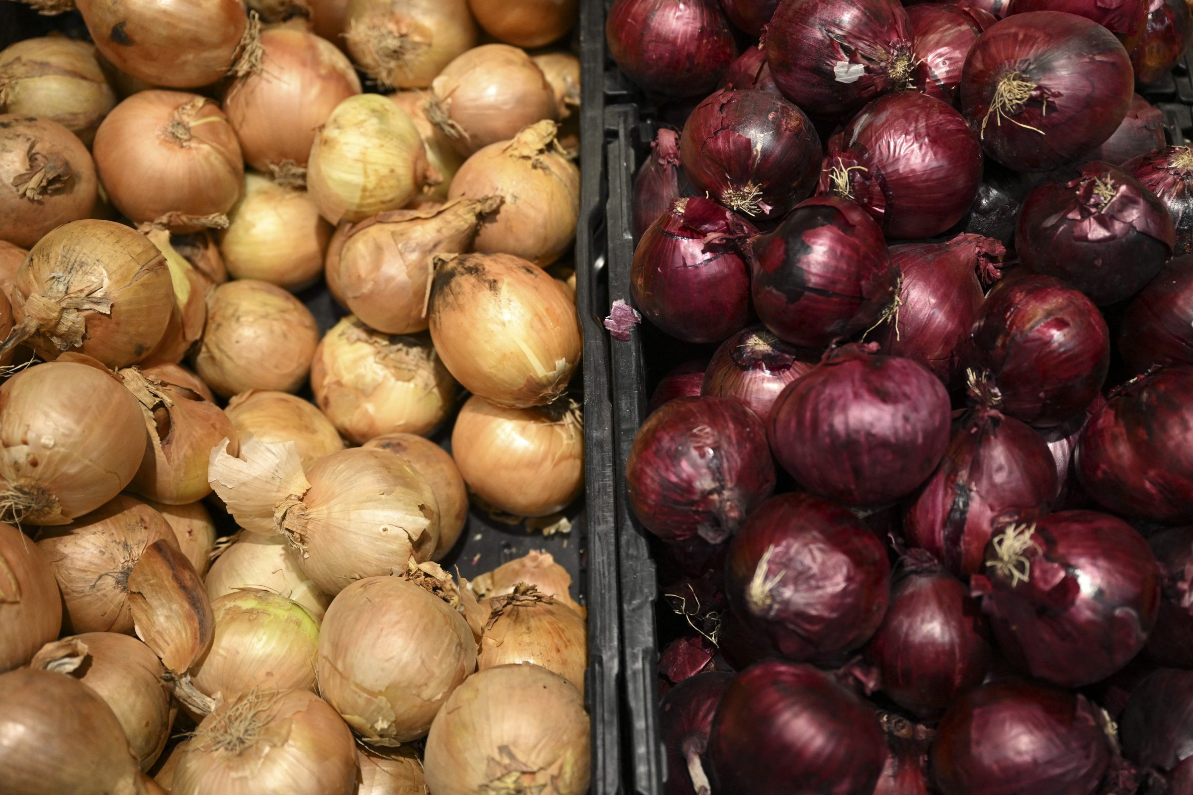 Onions displayed in a supermarket.