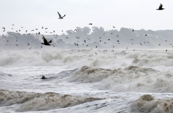 Gulls fly above breaking Pacific Ocean waves in Aptos, Calif. on Jan. 10, 2022.