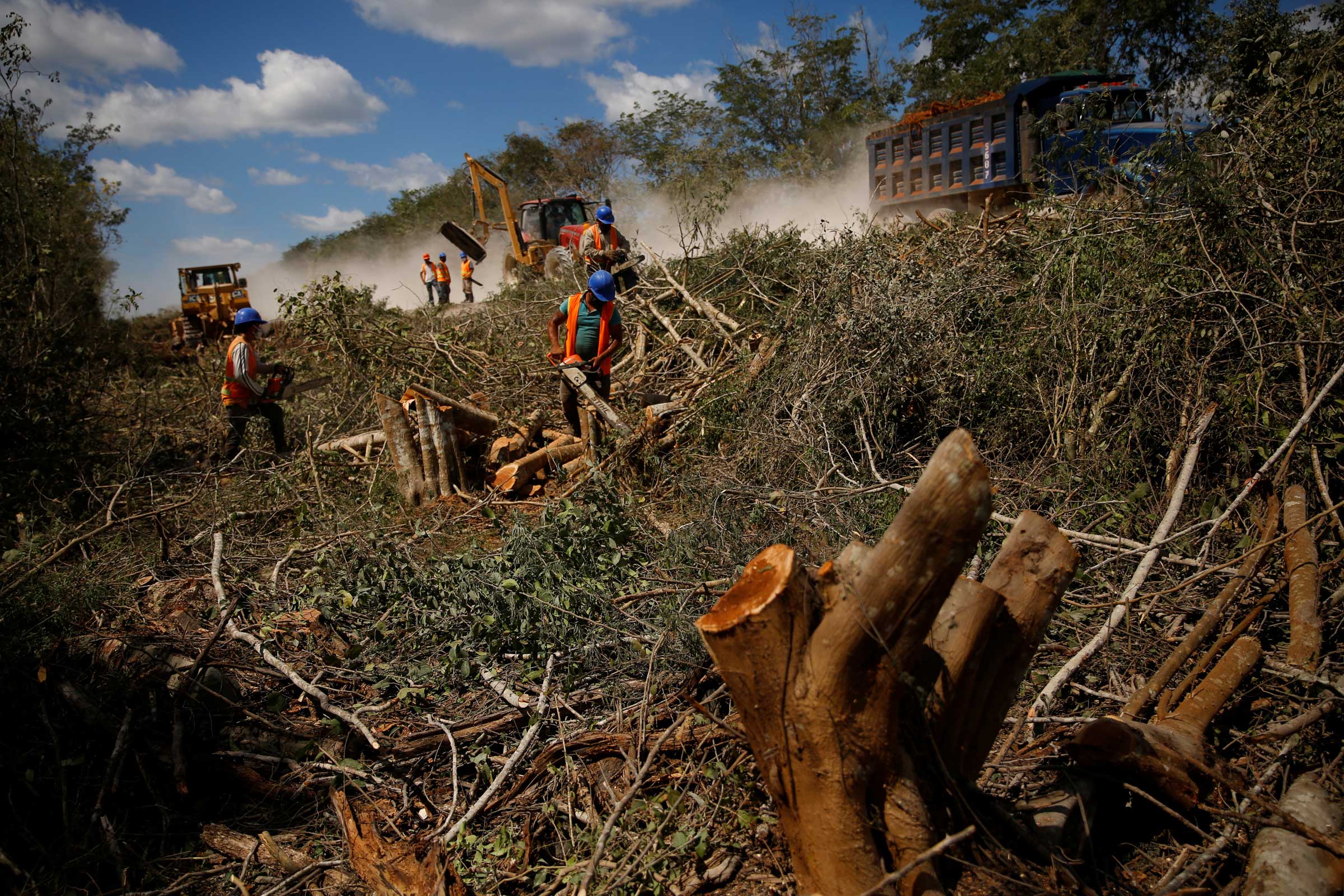 Workers clear trees for the construction of section 4 of the new Mayan Train route, near Nuevo Xcan, Mexico on March 3, 2022. (Jose Luis Gonzalez—Reuters)