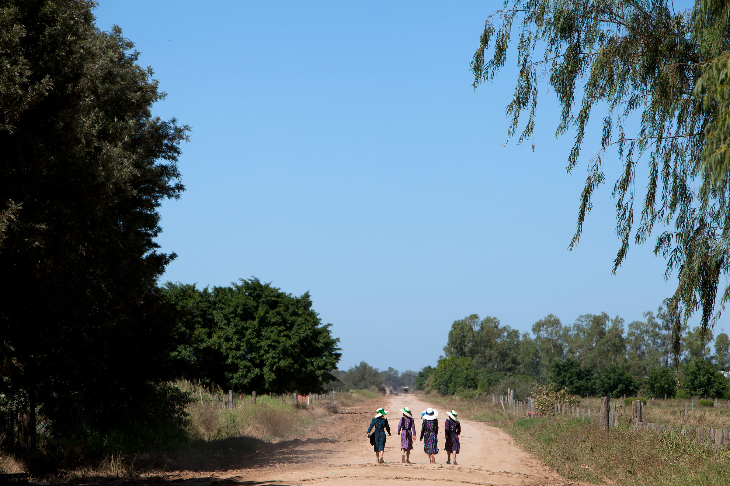 four young Mennonite girls wearing dresses and hats walking down a dirt path in Manitoba, Bolivia