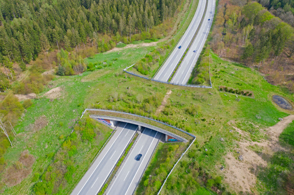 A wildlife bridge tops a highway in Schleswig-Holstein, Germany. (Sven-Erik Arndt—Arterra/Universal Images Group/Getty Images)