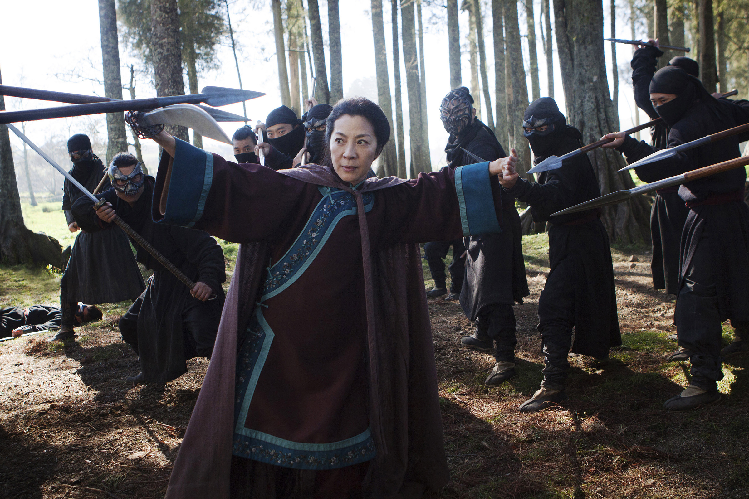 Michelle Yeoh in Crouching Tiger, Hidden Dragon: Sword of Destiny in 2016. (Rico Torres—The Weinstein Company/Everett Collection)