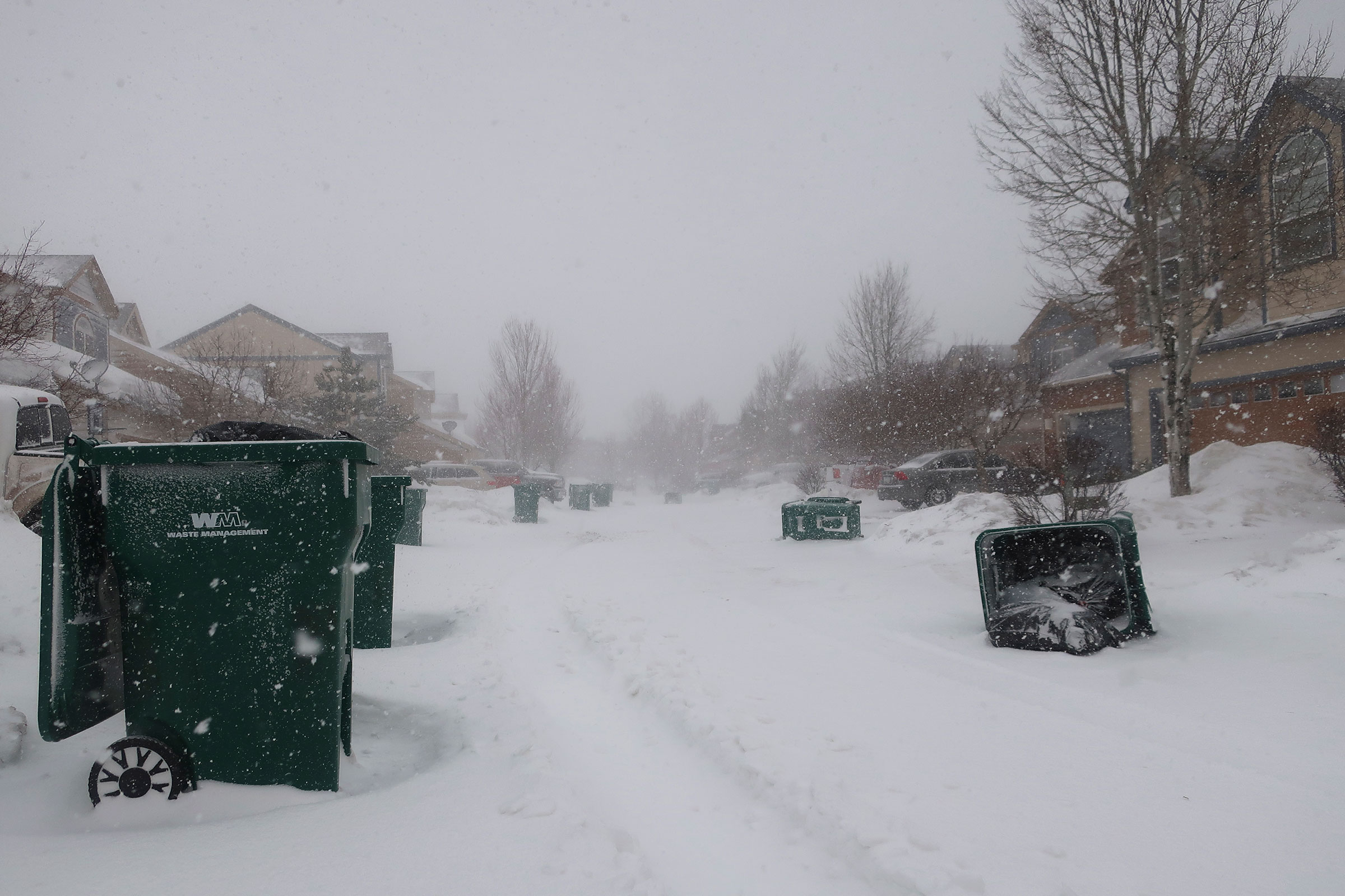 Strong wind gusts blew over trash cans in a neighborhood west of Flagstaff, Ariz., on Feb. 22, 2023. (Felicia Fonseca—AP)