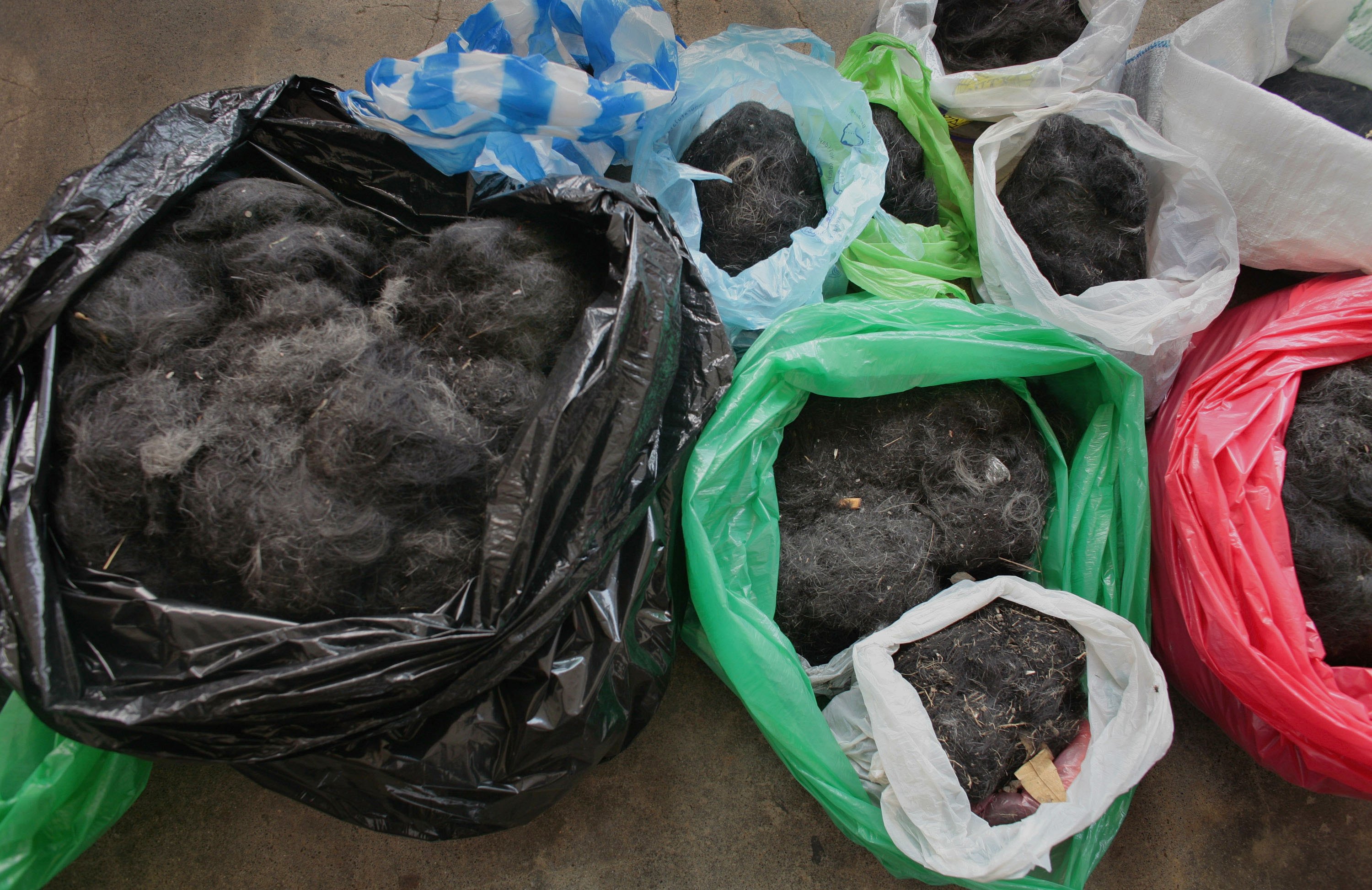 Bags stuffed with inmates' hair to help mop up the oil spill off Guimaras Island, at the National Penitentiary in Muntinlupa, August 31, 2006. (Paula Bronstein—Getty Images)