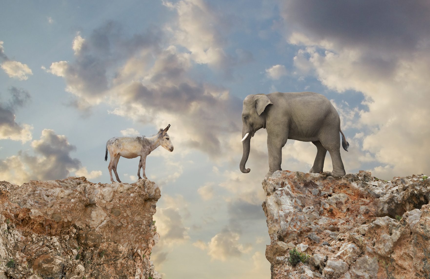Donkey and elephant separated by gap in cliff
