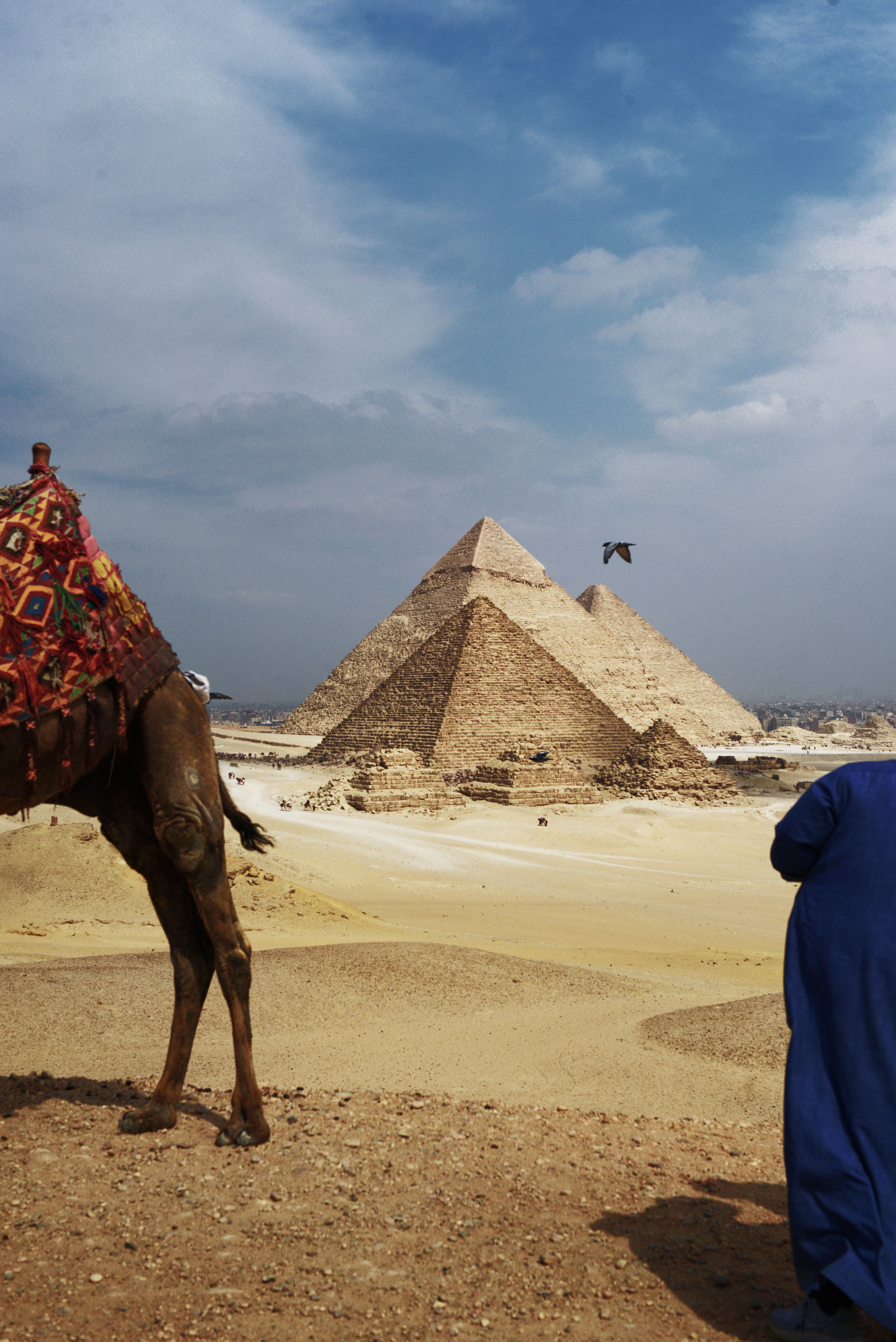 The Giza Pyramids, Egypt, with a camel and person in the foreground