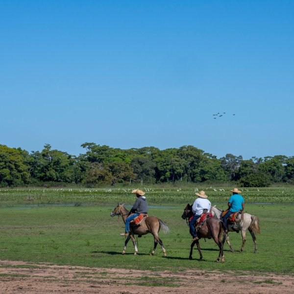 Pantaneiros [Brazilian cowboys] on horseback near the Piuval Lodge in the Northern Pantanal, State of Mato Grosso, Brazil.