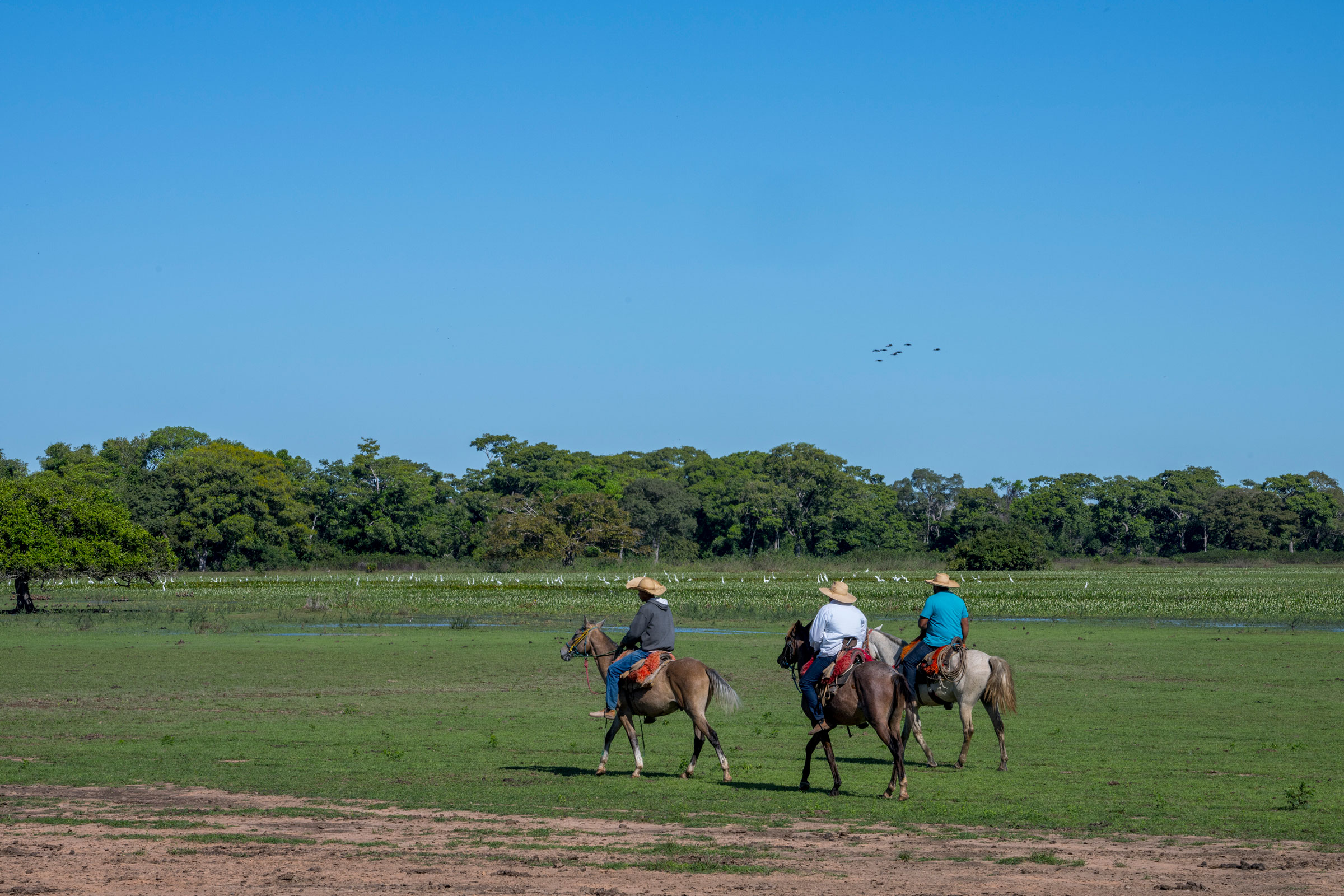 Pantaneiros [Brazilian cowboys] on horseback near the Piuval Lodge in the Northern Pantanal, State of Mato Grosso, Brazil. (Wolfgang Kaehler—LightRocket/Getty Images)