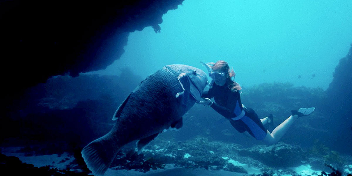 Blueback centers around a girl and her mother's relationship to a blue groper against a fragile ecological backdrop (Courtesy of TIFF)