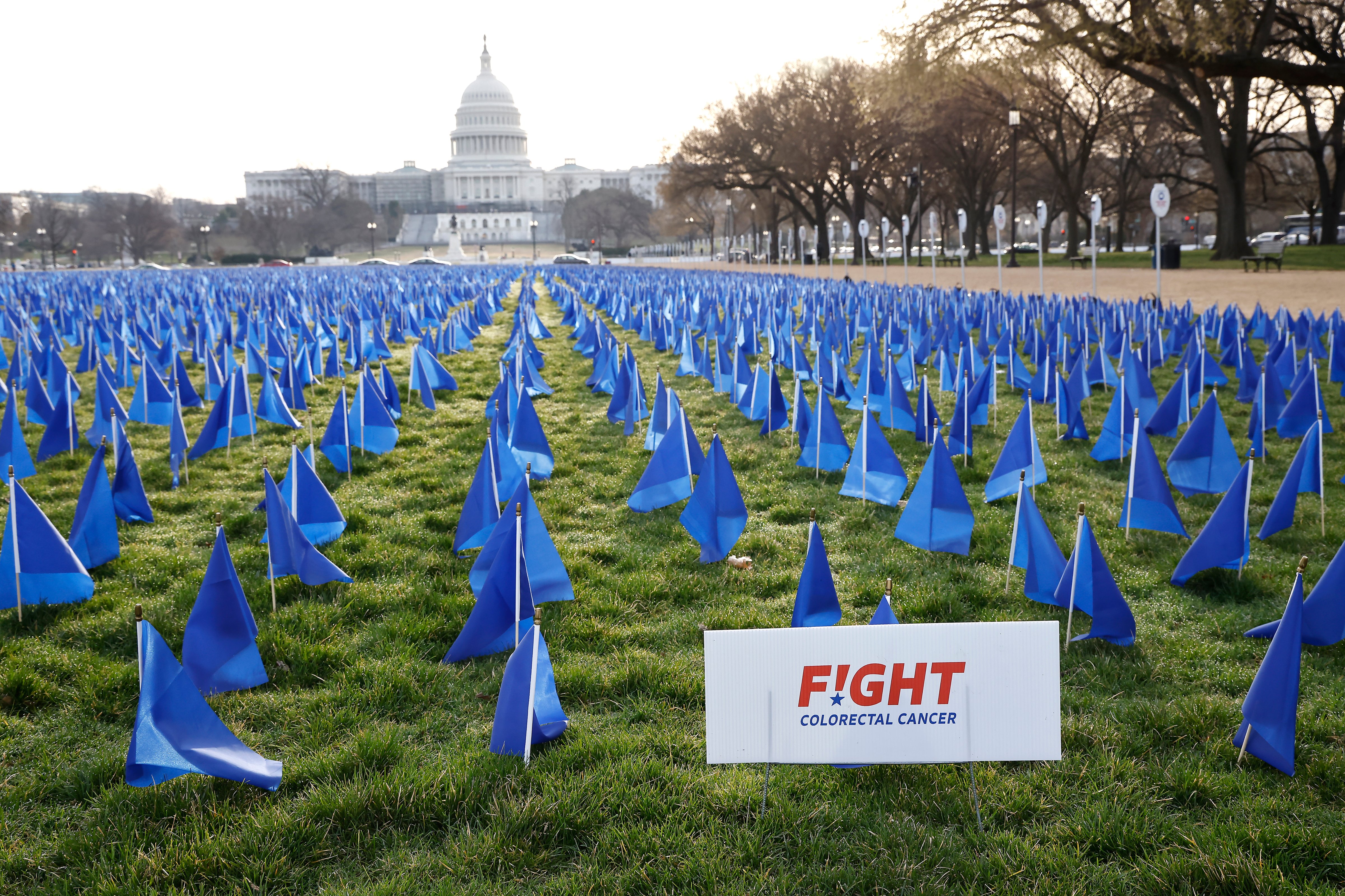 The United In Blue installation on the National Mall to raise awareness f the need for more colorectal cancer research, treatment options, and funding on March 16, 2022 in Washington, D.C. (Paul Morigi—Getty Images for Fight Colorectal Cancer)