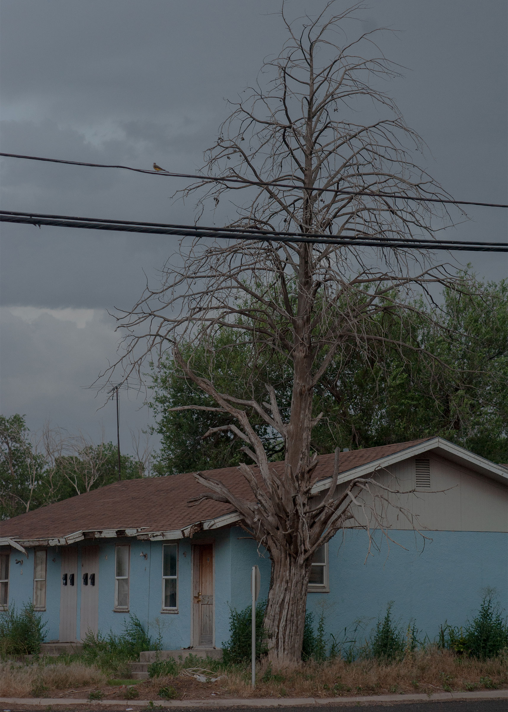 A suburb in Littlefield, Texas on June 25, 2022.