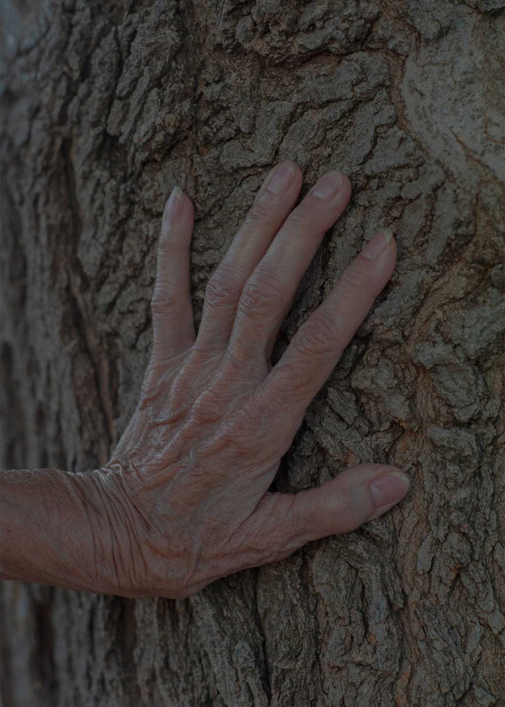 Jean Streety's worn hand rests against a tree in her front yard in Littlefield, Texas on June 25, 2022.