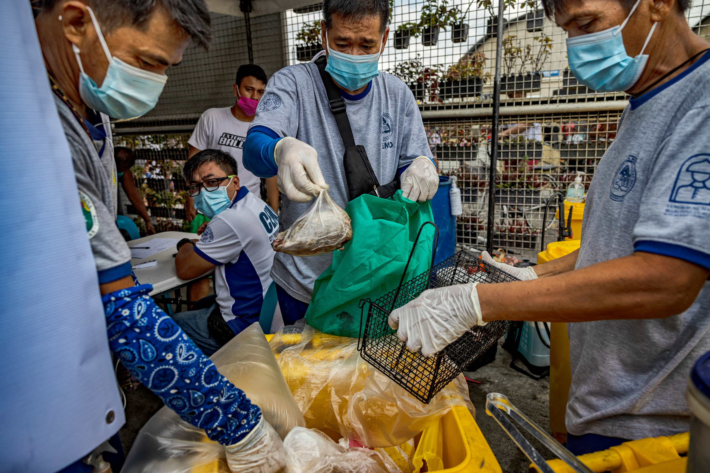 City sanitation officers dispose of rats turned over by residents in exchange for cash at the City Environmental Management Office in Marikina, Manila, Philippines, on Sept. 15, 2022. (Ezra Acayan—Getty Images)