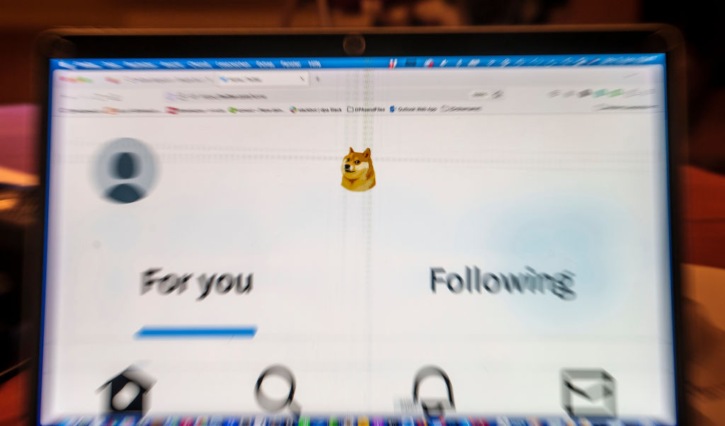 ILLUSTRATION - A laptop display shows Twitter's home page with the symbol of the digital currency Dogecoin in place of the Twitter logo. (Andreas Arnold—picture alliance via Getty Images)