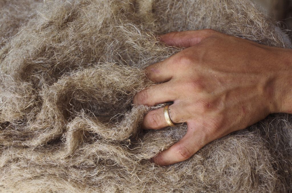 Hemp twine is used for varying applications, depending on its fineness: paper, rope, insulation, textiles, composite materials. (Henri-Alain SEGALEN/Gamma-Rapho—Getty Images)
