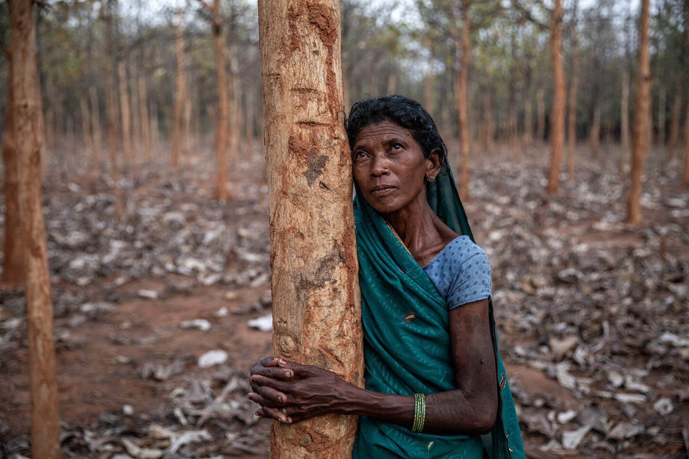 An indigenous woman hugs a tree in a forest that will soon be cut down due to coal mine expansion at Chhattisgarh's Surguja district.