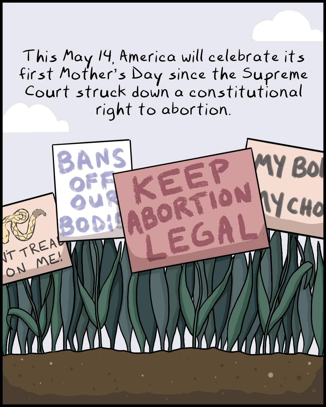 Flowers and Cards Are Nice. I'd Rather Have Bodily Autonomy