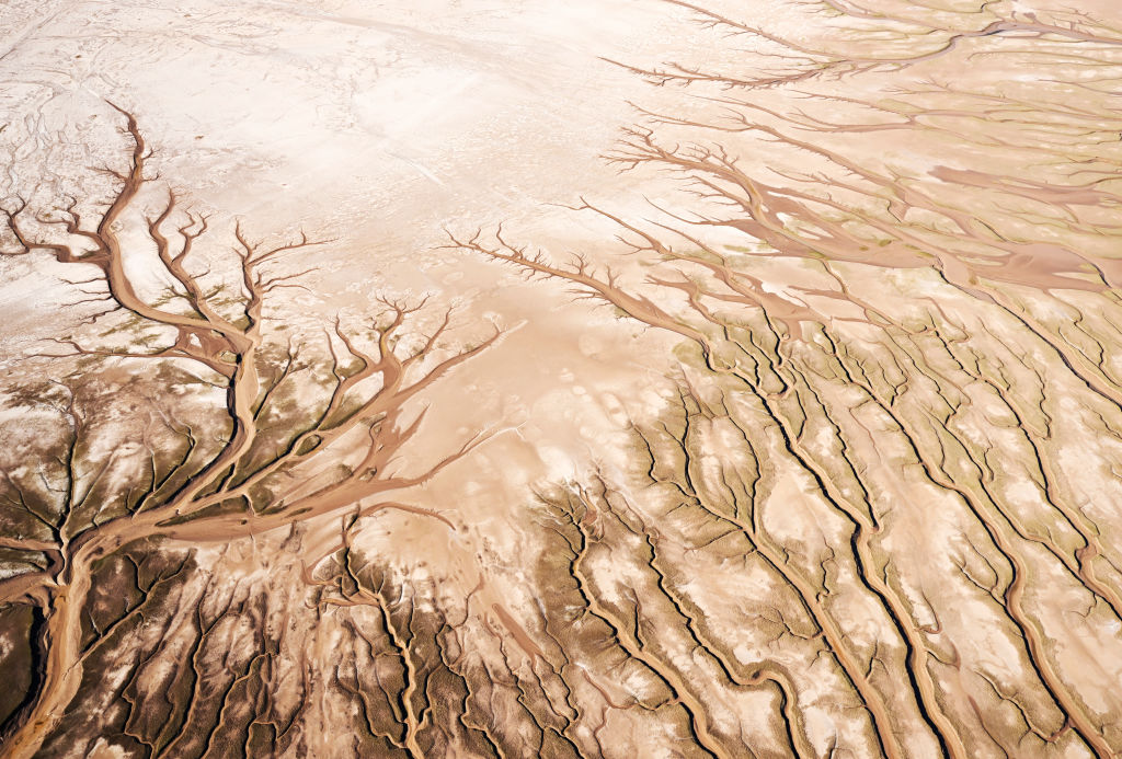 Drought, overconsumption, and climate change, are main factors dissipating the amount of Colorado River water that will reach the Sea of Cortez on its journey through the Colorado River Delta on October 24, 2022 in Baja California, Mexico. (RJ Sangosti/MediaNews Group/The Denver Post—Getty Images)