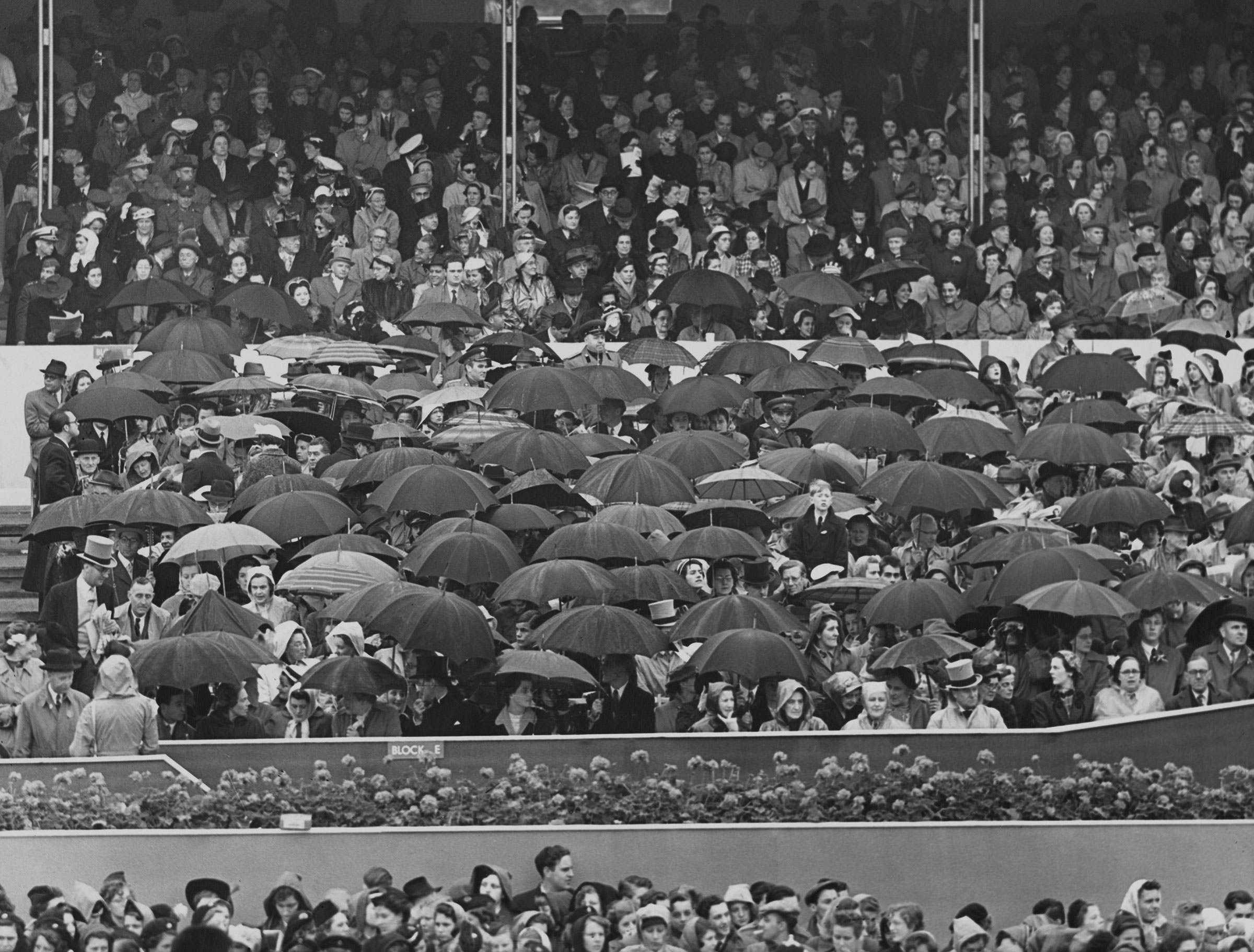 Seyirciler, bazıları şemsiyelerin altına sığınarak II. Elizabeth'in taç giyme törenini izliyor.  (Fox Photos/Hulton Arşivi/Getty Images)