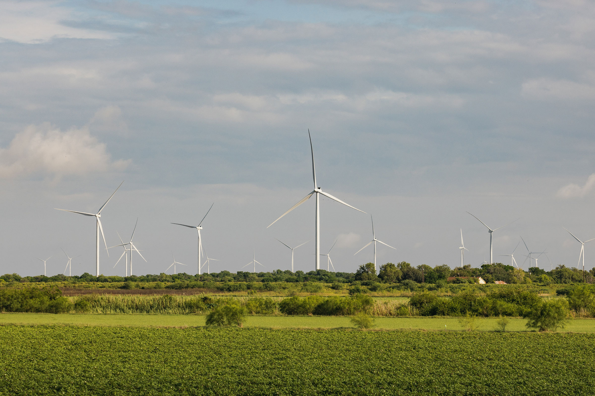 A wind farm on farmland near Brownsville, Texas, on Aug. 26, 2022. (Jordan Vonderhaar—Bloomberg/Getty Images)