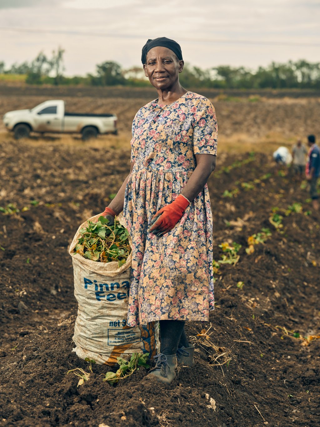 Farm worker holding a bag of crops in a field in Barbados