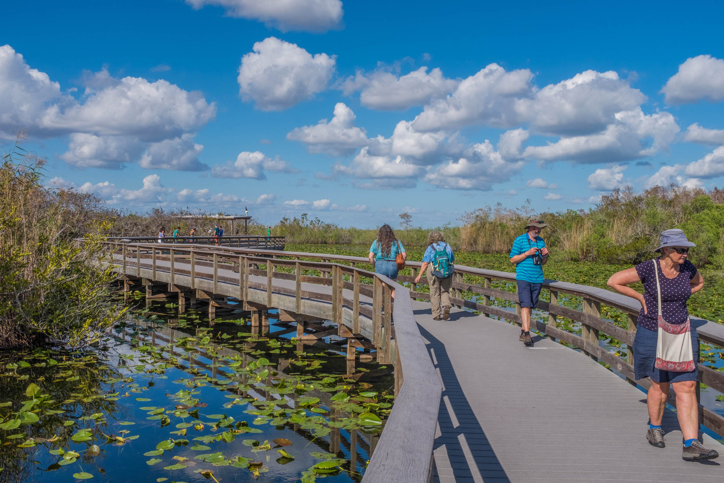 Tourists walk through the Anhinga Trail in the Everglades National Park on March 2, 2019. (Jeoffrey Guillermard—Haytham-REA/Redux)