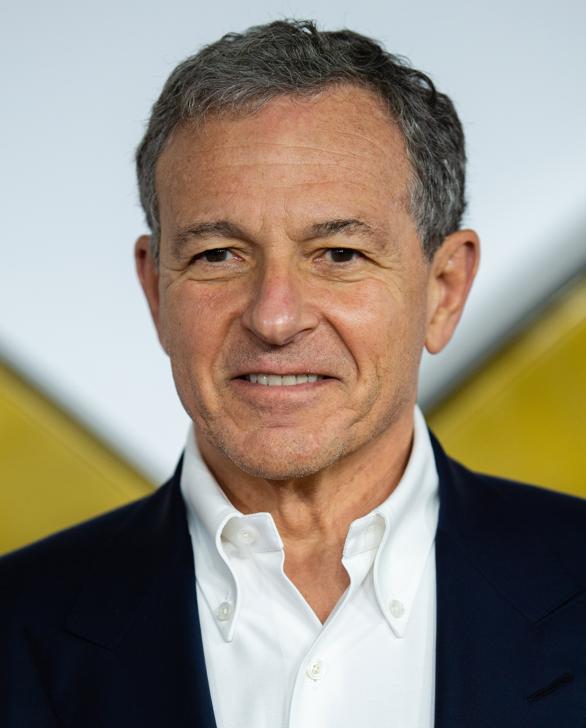 Bob Iger, Disney's CEO. (Samir Hussein—WireImage/Getty Images)