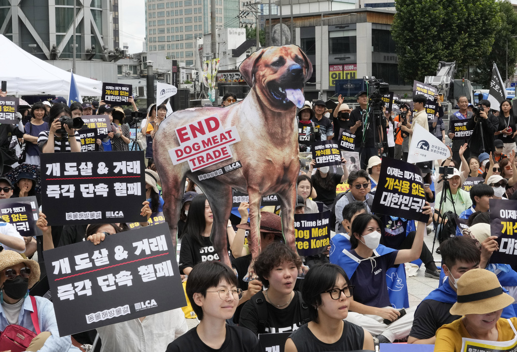 Activists stage a rally opposing the dog meat trade in Seoul, South Korea, July 8, 2023. (Ahn Young-joon—AP)