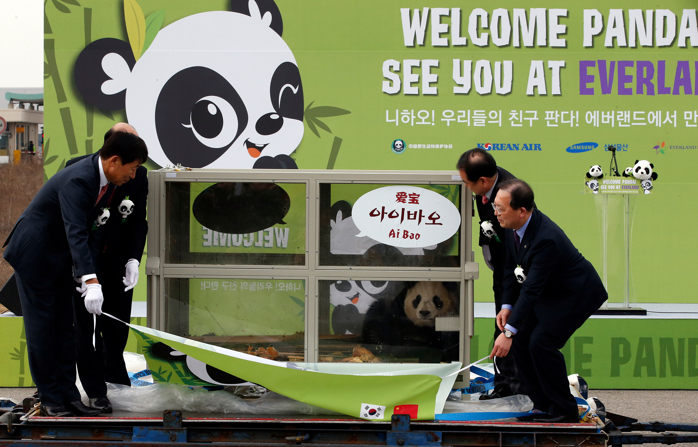 People unveil Ai Bao, then two years old, during a welcoming ceremony for a pair of giant pandas from China at Incheon International Airport in South Korea, on March 3, 2016. (Lee Jin-man—AP)