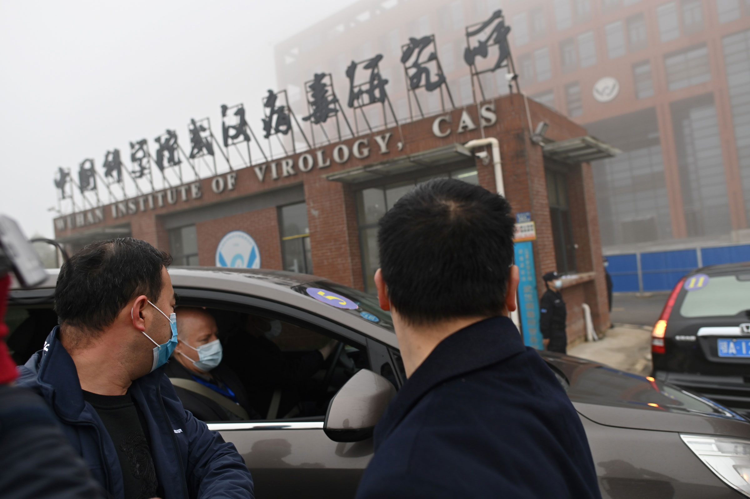 Members of the World Health Organization team investigating the origins of COVID-19 arrive by car at the Wuhan Institute of Virology on February 3, 2021. (Hector Retamal—AFP/Getty Images)