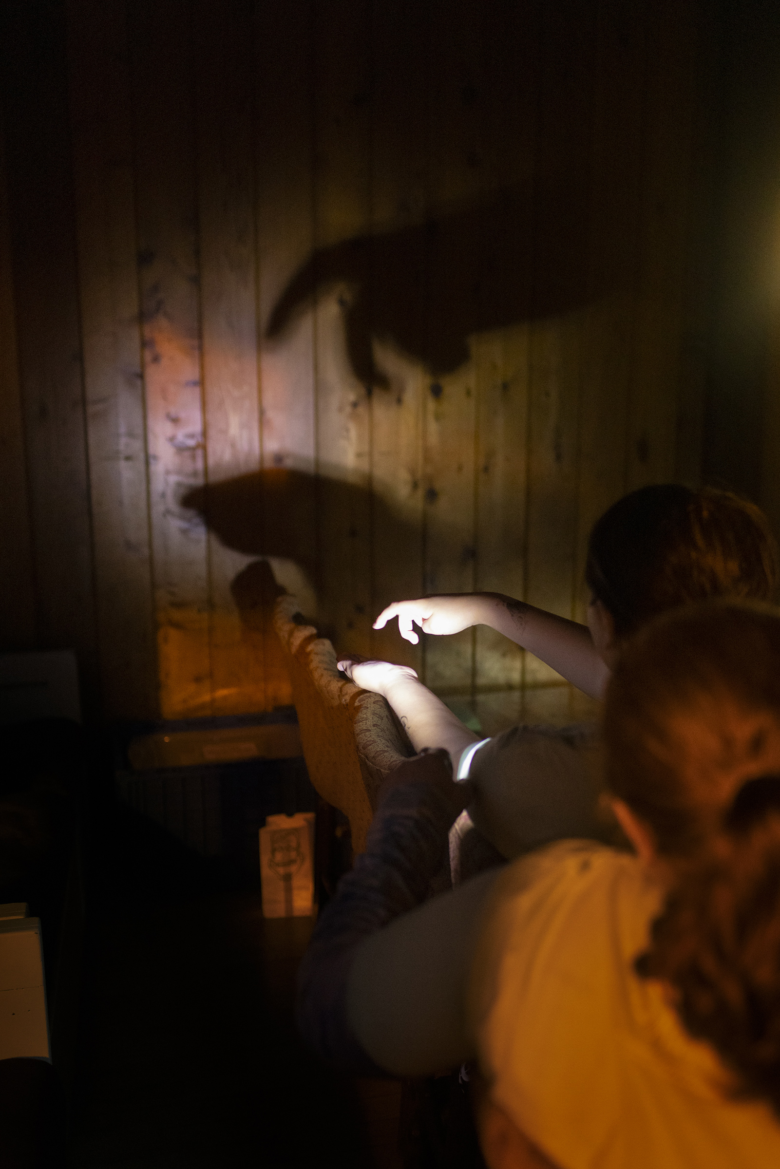 Campers make shadow puppets during the bonfire.