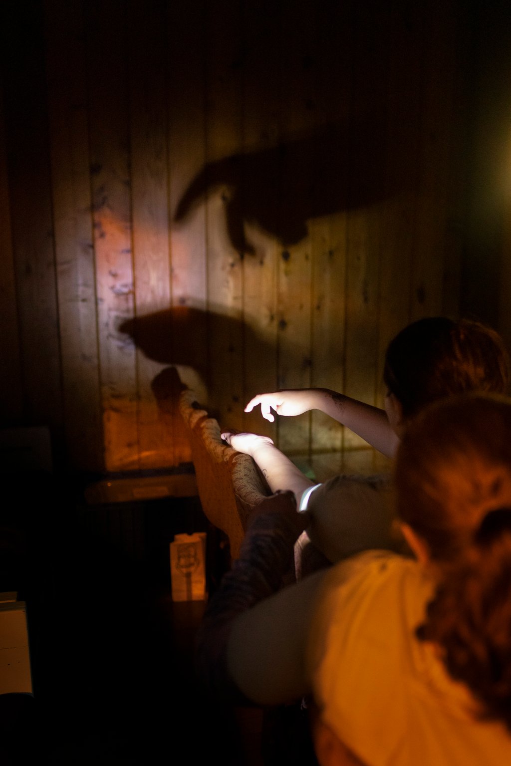 Campers make shadow puppets during the bonfire.