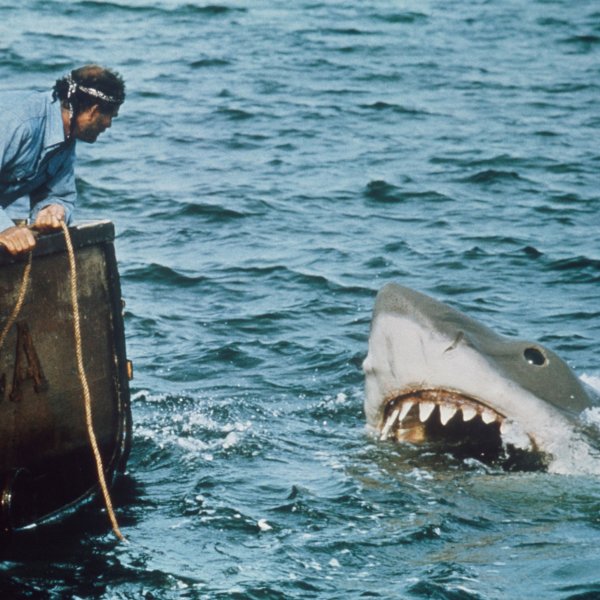 Richard Dreyfuss and Robert Shaw in Jaws.