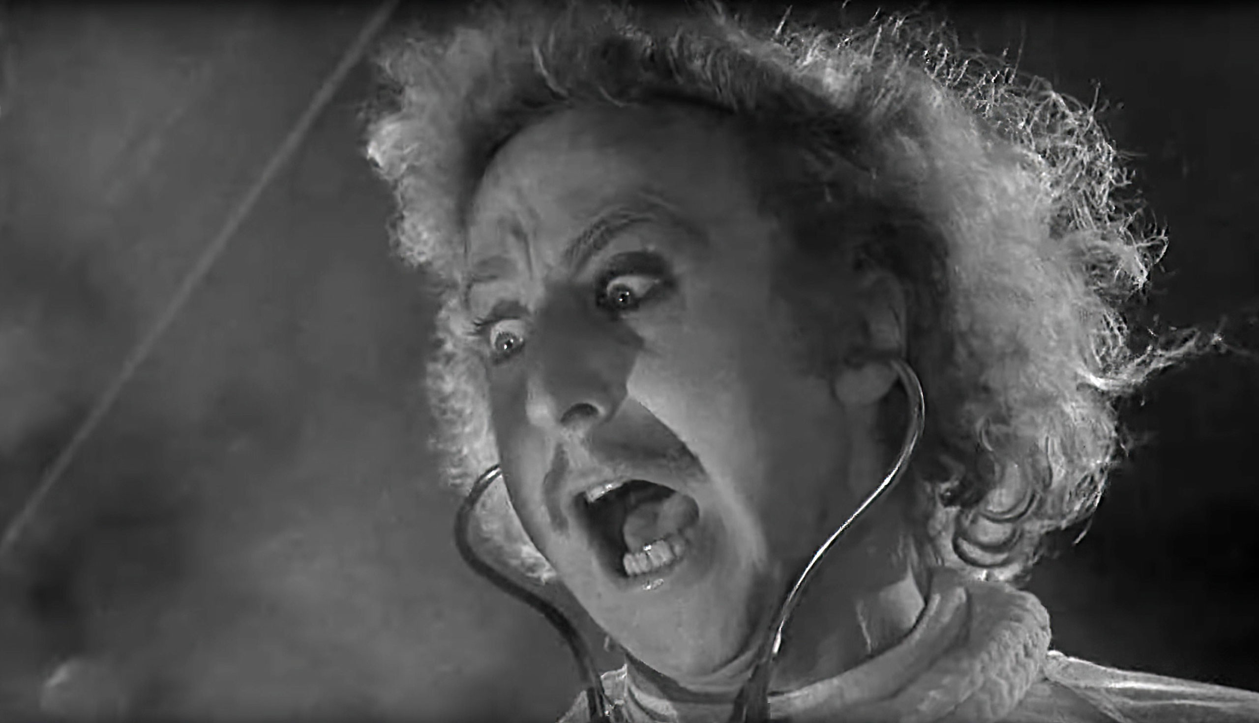 Young Frankenstein, film by Brooks [1974]