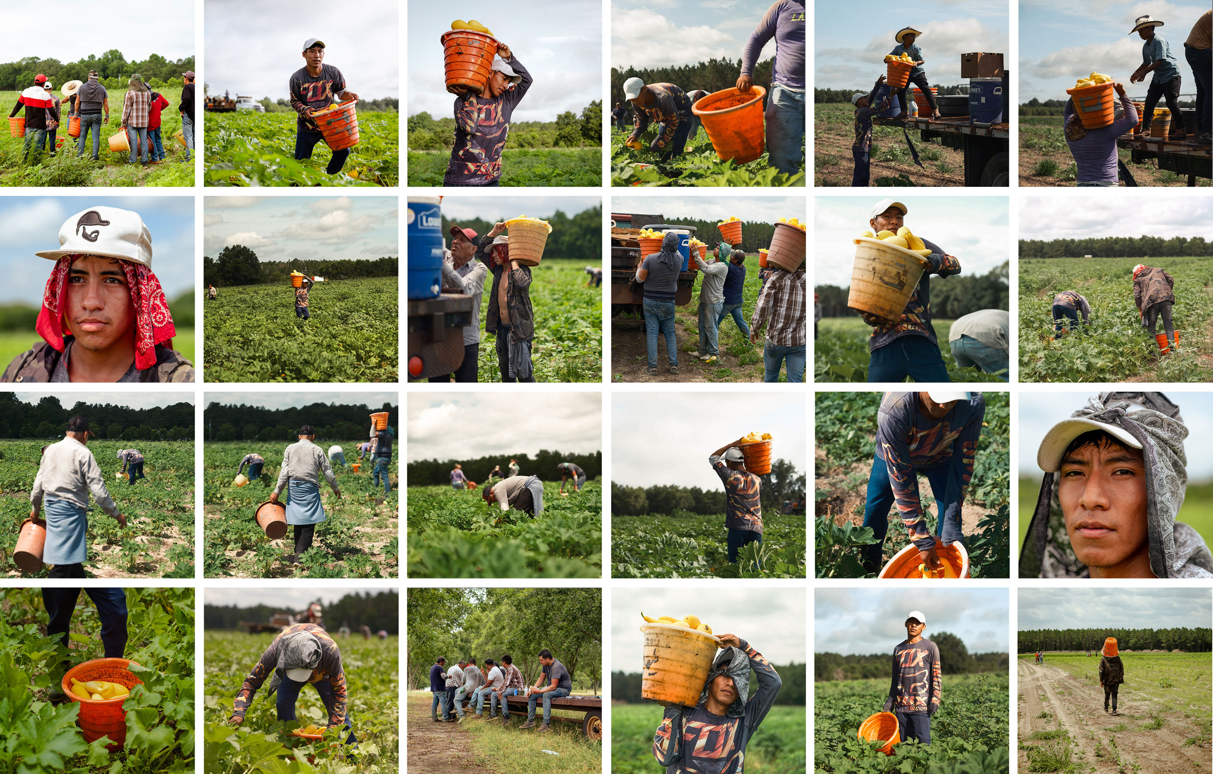 Migrant workers on six-month visas pick squash and peppers on a farm in Lyons, Georgia.