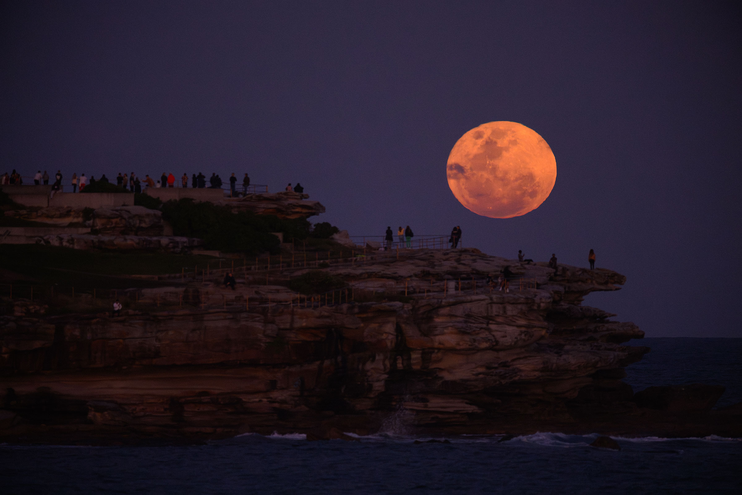 The super blue moon appears in the night sky over Ben Buckler cliffs at Bondi Beach, Sydney, on Aug. 31, 2023. (Dan Himbrechts—AAPIMAGE/Reuters)