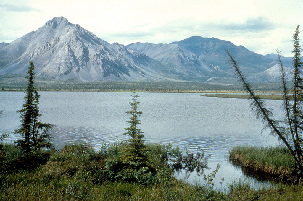 There has long been a battle over whether to allow oil and gas drilling on the refuge’s 1.5 million acre coastal plain, an area seen as sacred to the Indigenous Gwich’in because it is where caribou they rely on migrate and come to give birth. (US Fish and Wildlife Service—Getty Images)