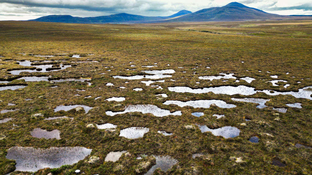The Flow Country’s peatland, in Forsinard, Scotland, the largest continuous blanket bog in Europe which stores 400 million metric tons, seen here on Aug. 16, 2023.