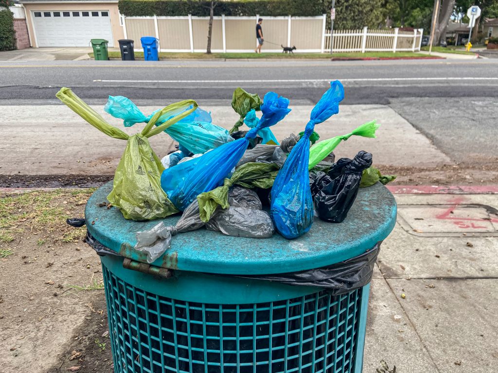 Dog poop bags on top of trash can