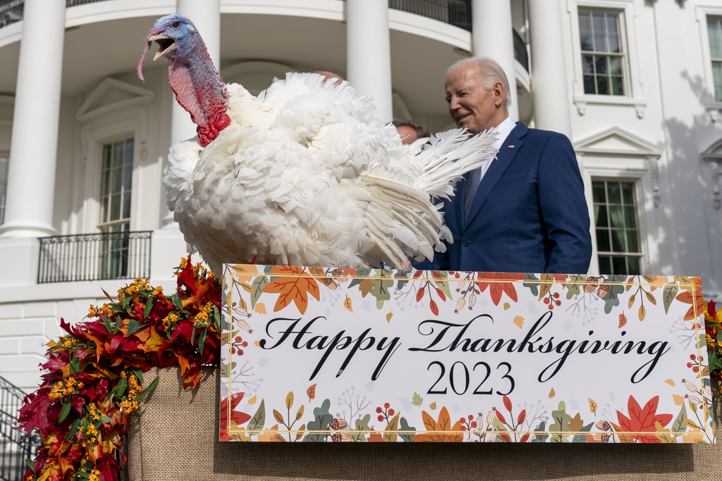 Biden Pardons National Thanksgiving Turkeys On His 81St Birthday