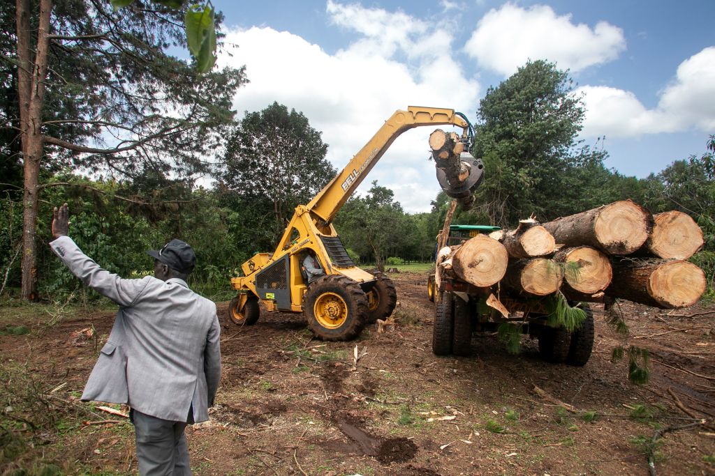 KENYA-ENVIRONMENT-FORESTRY-FOREST-CLIMATE