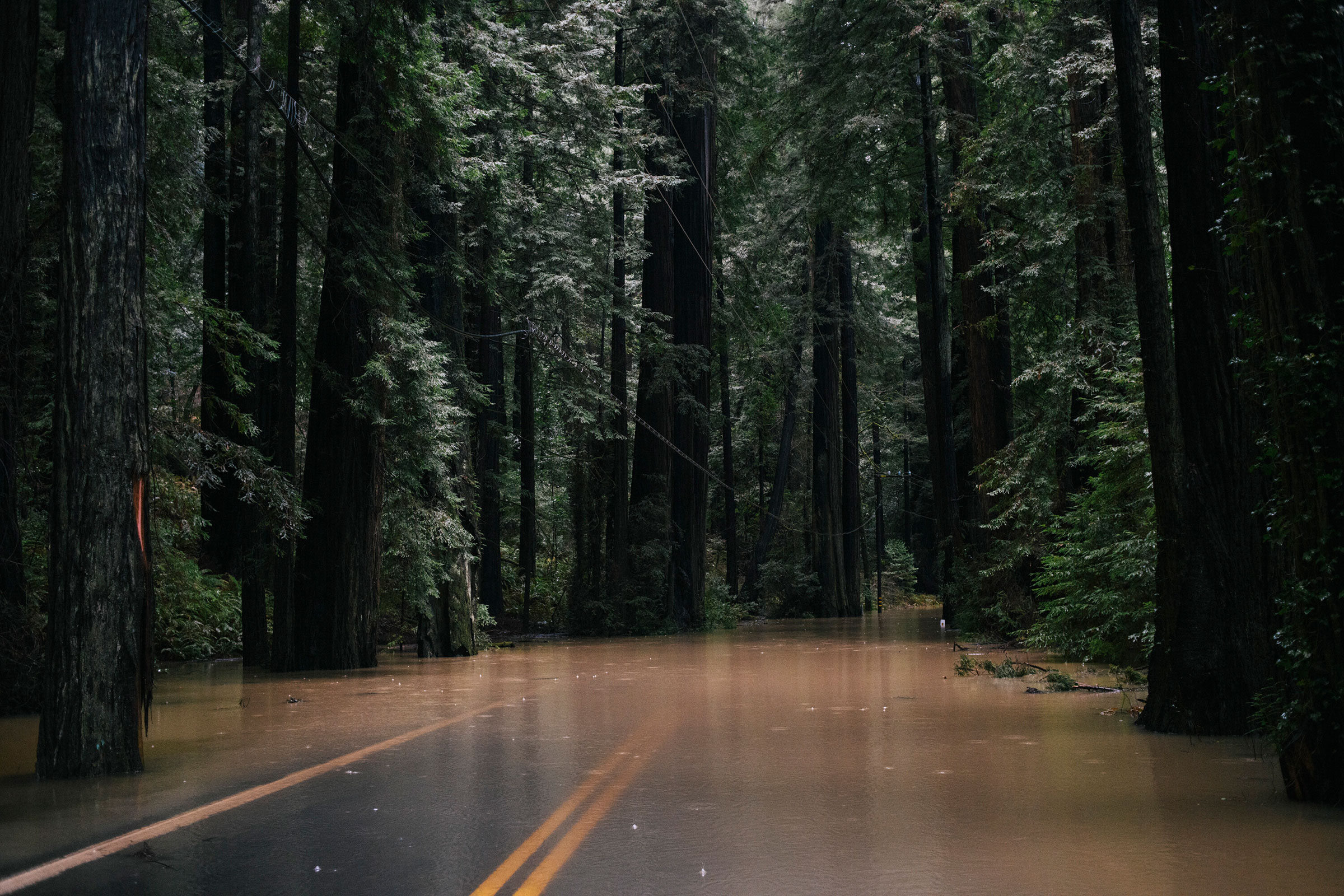 The Avenue of the Giants in Humboldt county is closed due to flooding, in Redcrest, Calif. on Friday, Jan. 13, 2023. (Alexandra Hootnick/The New York Times)