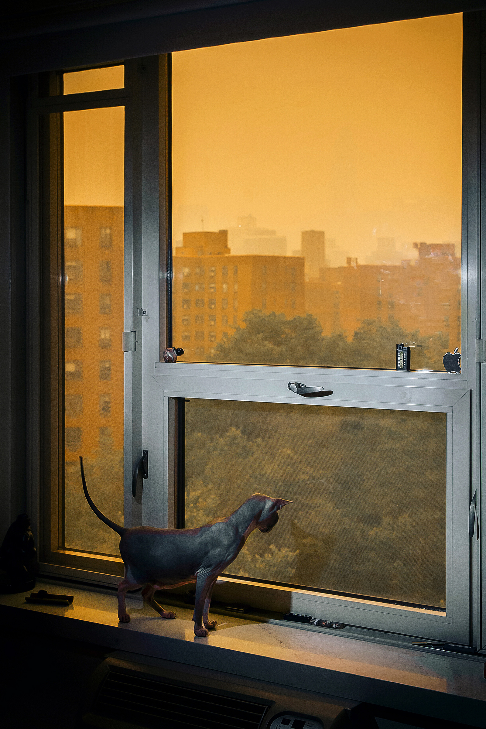 Orange skies seen in New York City from the smog caused by Canada’s wildfires, on June 7.