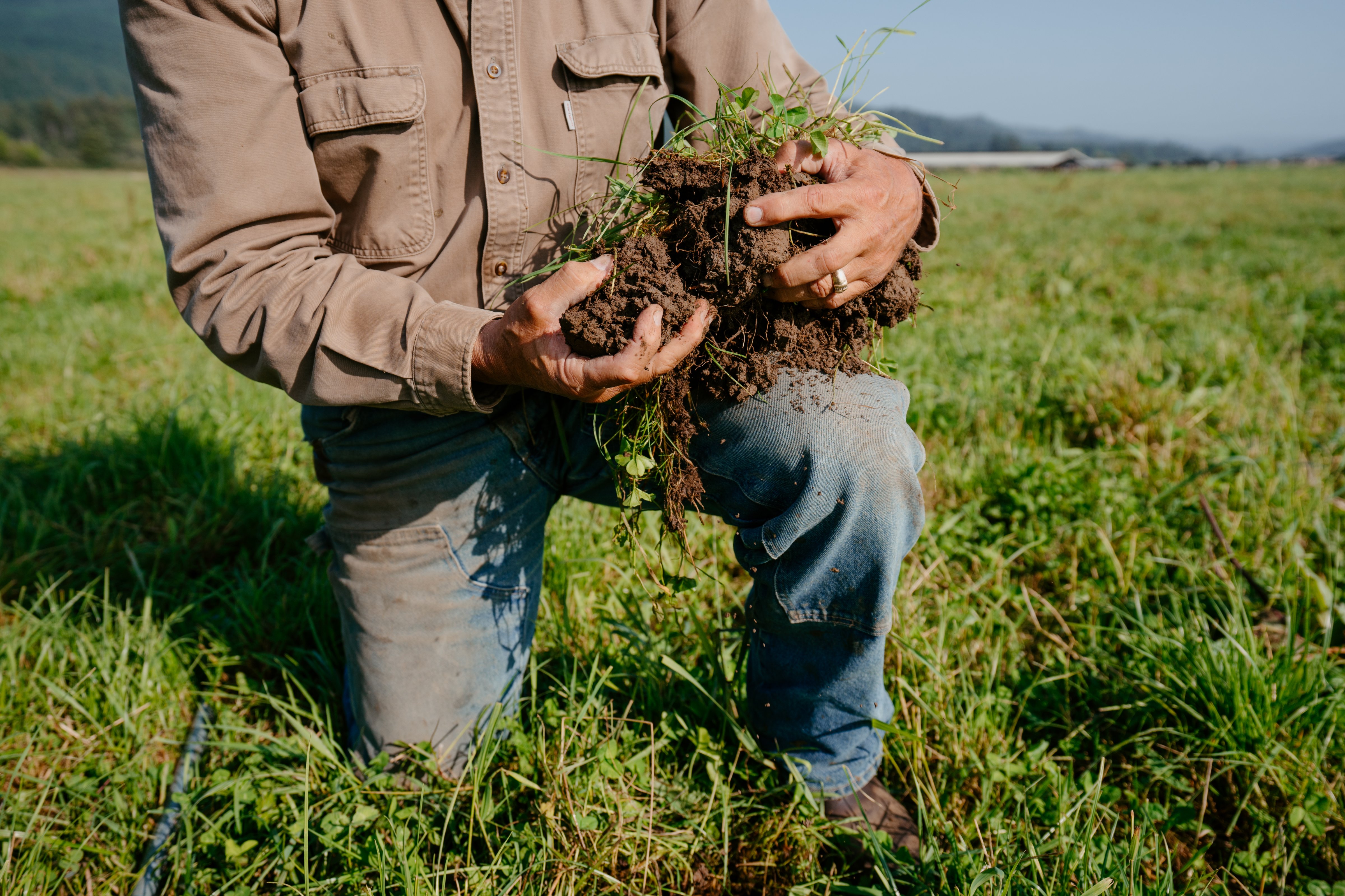 Soil with more organic matter can store more carbon dioxide. (Alexandre Family Farm, Madyline Braught Photography)