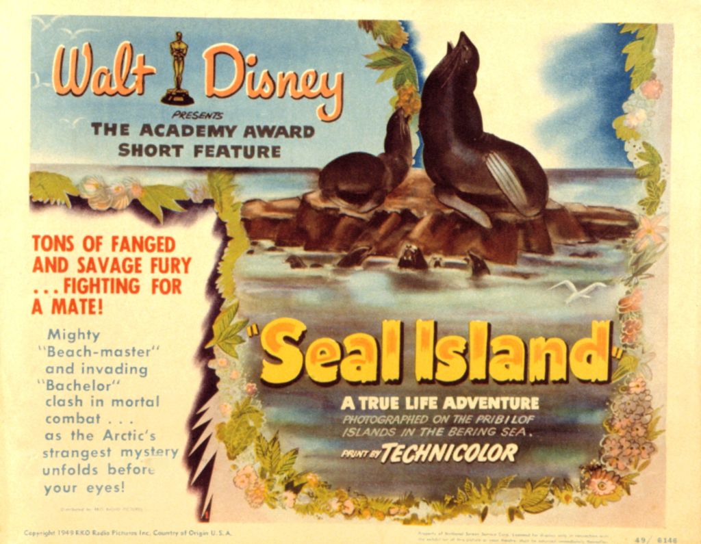 Seal Island
