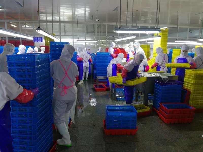 Workers sort seafood at Dandong Taifeng