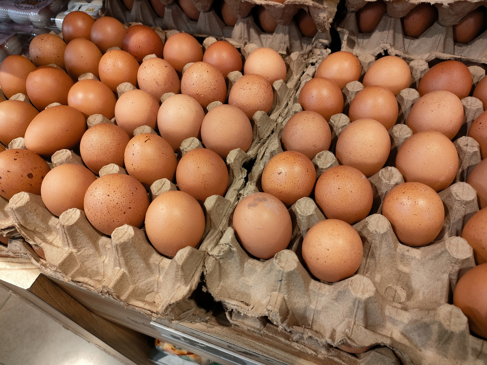 Est-il sécuritaire de manger des œufs et du poulet pendant l’épidémie de grippe aviaire ?